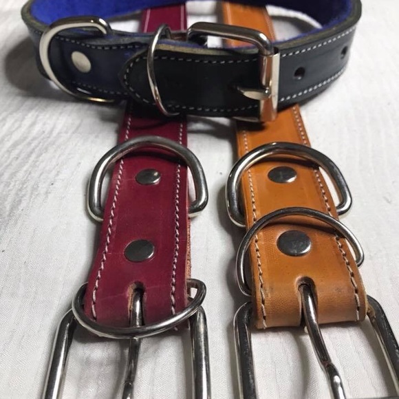 Dog collars - Picture 5 of 8